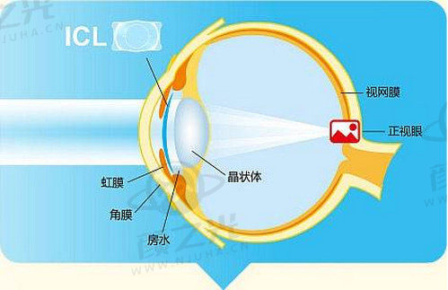 齐齐哈尔张振军V口碑不错