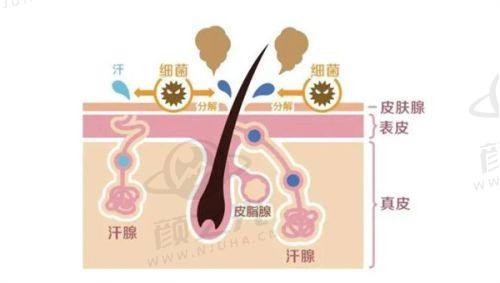 广州半岛黄金微针价格大揭秘！不同机构、疗程费用全知晓，还有避坑指南！ 