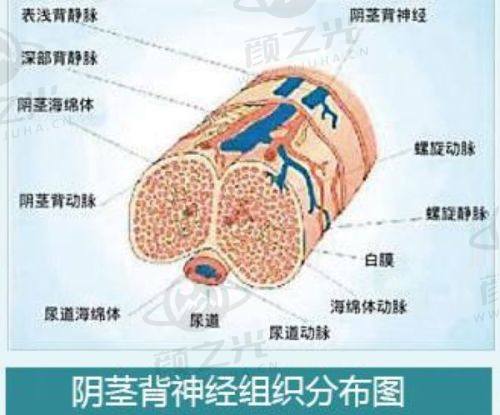 成都初龄医美全攻略：地址在武侯区丽都路518号，医生团队/项目价格全知晓