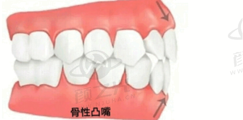 通辽排名靠前的 8 家口腔医院大汇总！各有专科亮点与特色服务，速来了解！ 