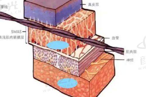 厦门趣净肤医疗美容诊所相关关联医院