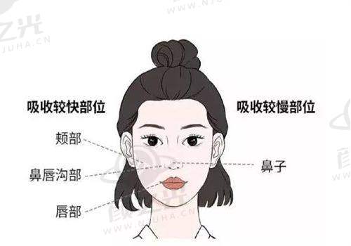 六、上海美莱医疗美容医院与上海薇琳医疗美容医院：连锁品牌的个性化服务比拼