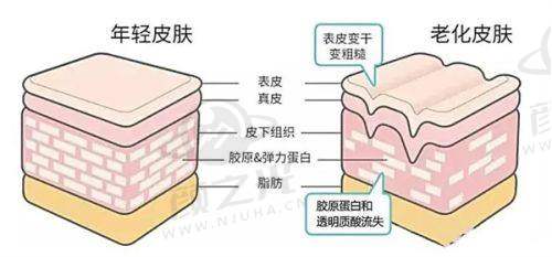 二、精良的技术设备，是正规的有力支撑