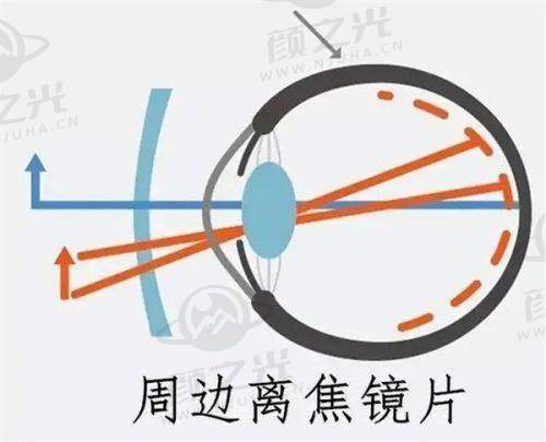 六、各医院 - 王红医生坐诊信息与预约指南