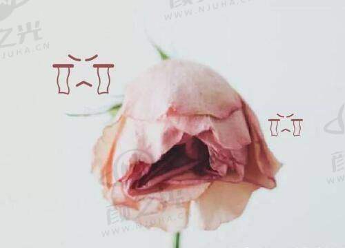 贴心服务与安心保护