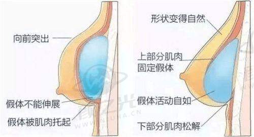 三、长沙美莱医疗美容医院本院资讯