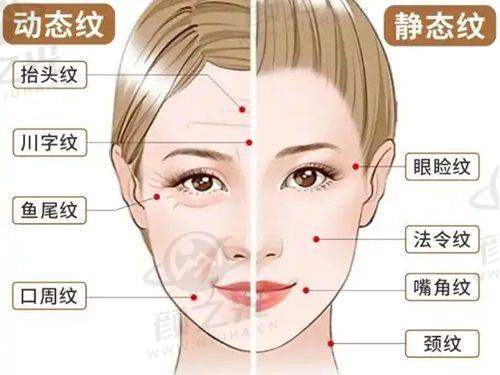 西京医院皮肤科：高天文、王刚等大咖云集，专治银屑病、白癜风、皮肤肿瘤