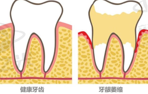 六、沈阳牙元素口腔总结
