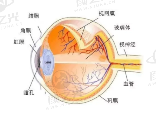 扒一扒！南宁华厦视光眼科医院正规吗？资质、设备、专家、优惠全解析！