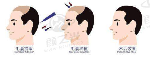 四、总结