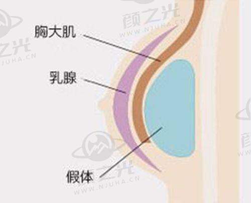 马君个人资料简介