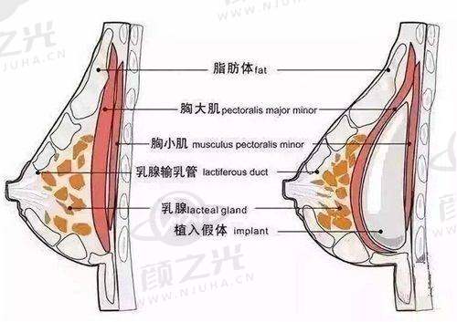 赵亮祥预约挂号