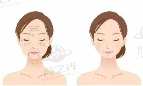 北京纯脂脂肪专科医生团队