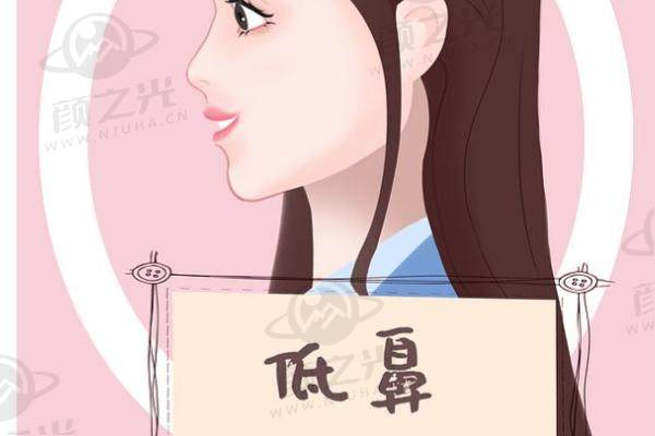 张辉个人资料简介