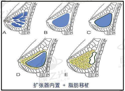 四、上海口碑医院医生的综合评价与建议