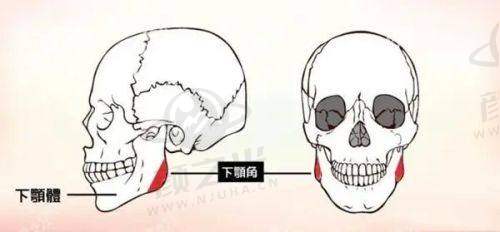 扬州美贝尔整形医院交通及预约