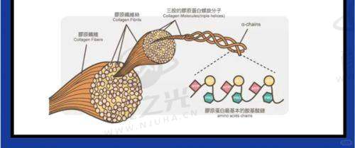 昆明下颚角切除手术排名靠前医院揭秘：梦想、艺星、美立方技术大比拼！ 