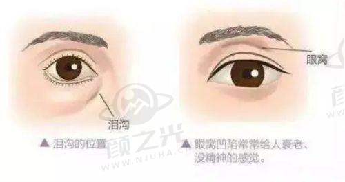 胡艺觉执医荣誉