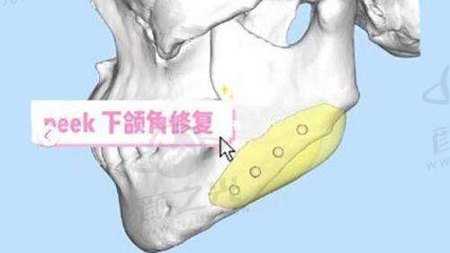 唐龙执医荣誉