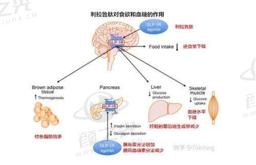 赵文广口碑评价及反馈内容