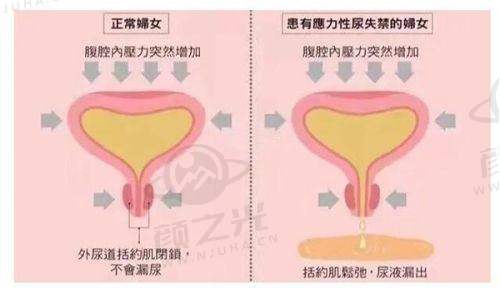 二、大连铂恩美学医疗美容简介