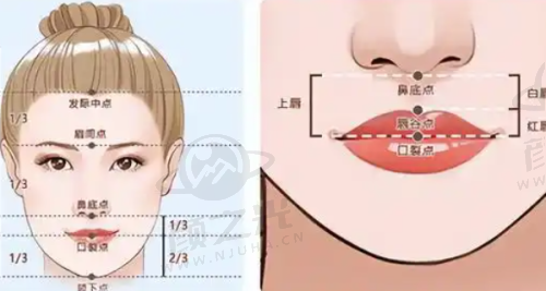 丁四龙预约挂号