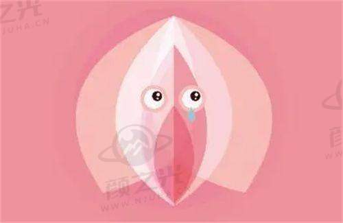 北京新星靓医疗美容医院医生团队咋样？