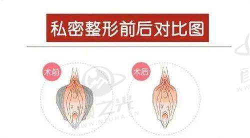 贵阳利美康整形医院医生团队