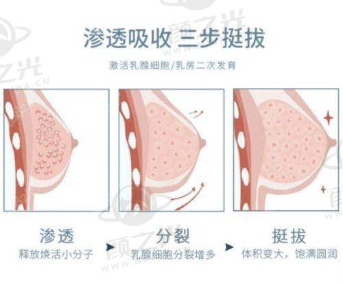 天津美莱医学美容医院医生团队