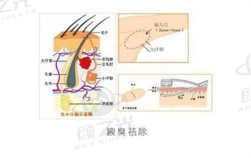 天津美莱医学美容医院交通及预约