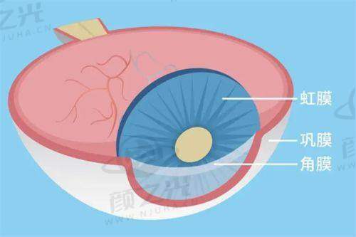 哈尔滨云海眼科医院医生团队揭秘:程笑冬、王晓霞、马丽娜等专家擅长的眼科疾病有哪些?