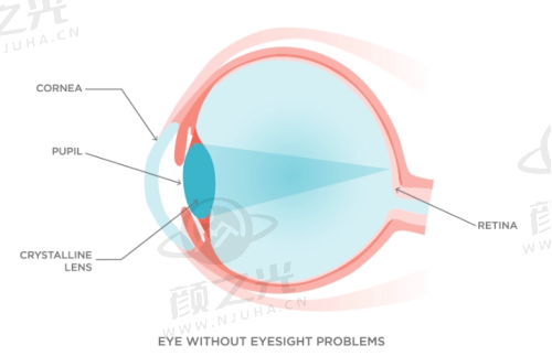 哈尔滨云海眼科白内障手术咋样?8000 元起收费 + 多样术式,专精团队护你清晰视界