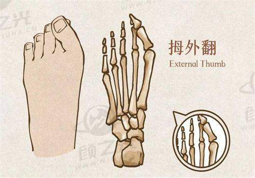 常德美莱整形医院医生团队是否专精？