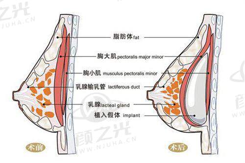 南京华韩奇致美容医院医疗资质正规吗？