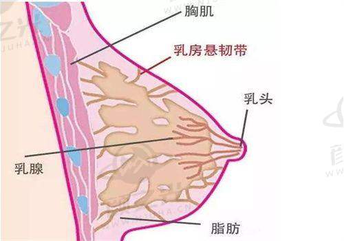 杭州星纪医疗美容门诊部地址在哪?上城区详细位置及到院攻略来了!