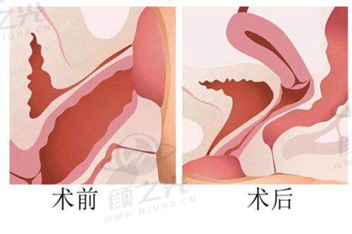 沈阳元辰整形医院的医疗团队实力怎样？