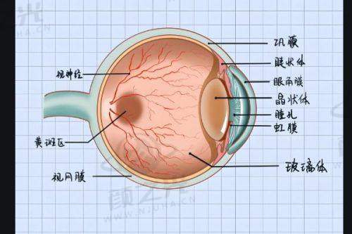 南宁华厦眼科医院的优势