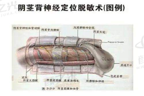 重庆莱沃医疗美容诊所核心项目