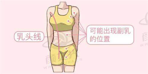 北京禾美嘉吸脂靠谱吗？医院背景 + 真实收费 + 技术解析