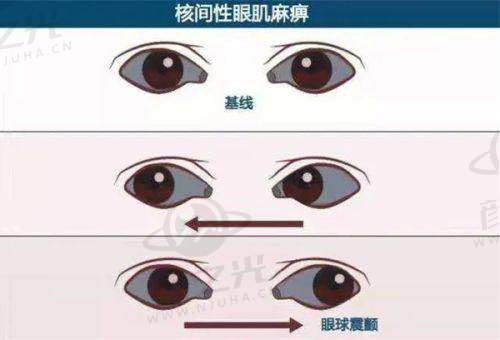 五、总结与建议