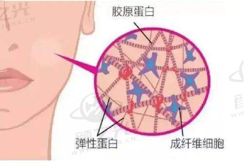 重庆郑荃丽格疤痕修复中 心简介
