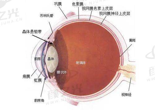 六、总结：爱尔眼科预约挂号平台等你来约
