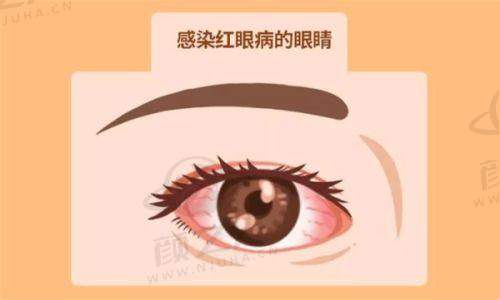 二、贵州晶朗眼科医院的成长与实力