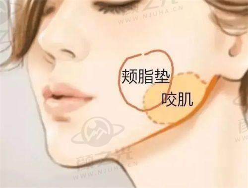 魏凌华技术水平评价