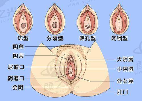 综合实力：成都艺星整形美容医院、成都西区医院医疗美容科与成都恒博天姿医疗美容门诊部