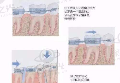 二、华中科技大学同济医学校附属协和医院整形科医生推荐