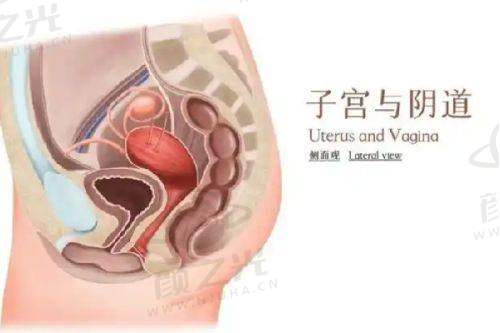 三、宜宾西蝉医学美容医院