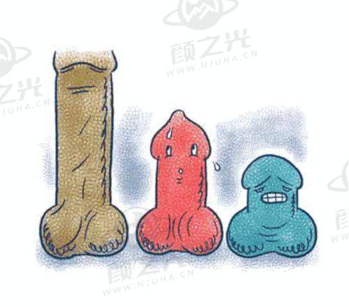 与其他机构对比，成都艺星优势在哪