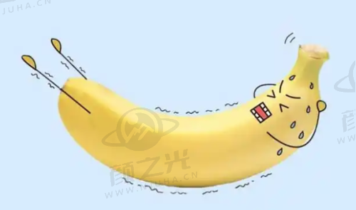 上海爱尚丽格有哪些核心业务？
