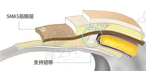 临沂私密整形医院哪家好？卫康/瑞丽上榜，本地实力强正规机构任你选 